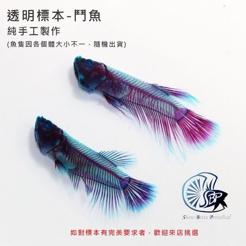 sg-11134201-7rcea-ltphij3ytihg4e