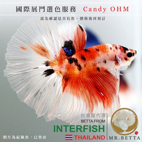 Candy OHM.jpg