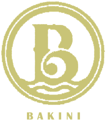 Muslimah Bakini Swimsuit