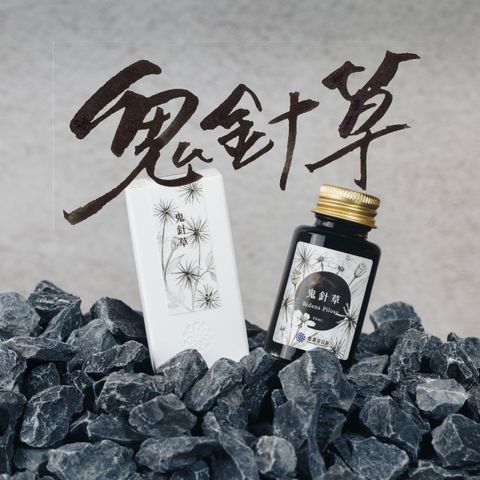 Lennon - Bidens Pilosa鬼針草