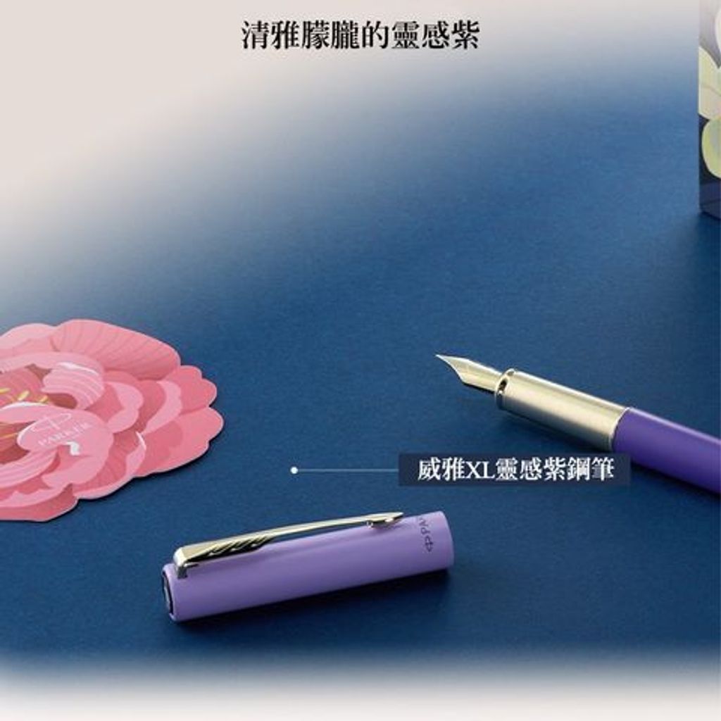 【鋼筆｜靈感紫限定】Parker 派克 - Vector XL 新威雅 - 3