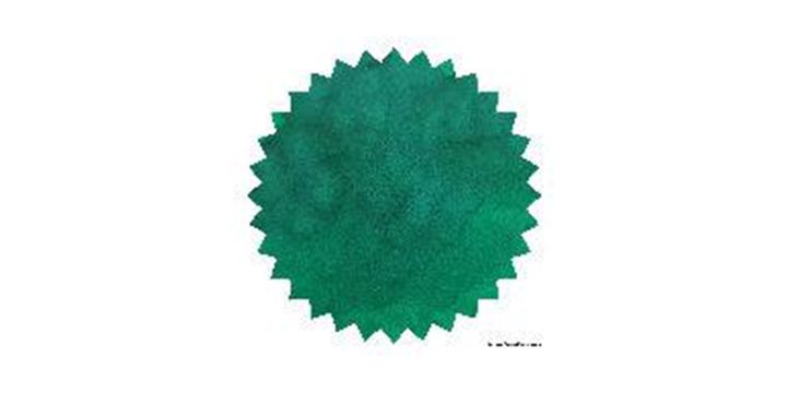 Robert Oster Signature® - Emerald 翠鳥 Greens 50ml | 鋼筆墨水