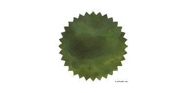 Robert Oster Signature® - Eucalyptus Leaf 尤加利鞍葉 Greens 50ml | 鋼筆墨水