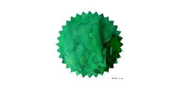 Robert Oster Signature® - Ever Green 常春藤 Greens 50ml | 鋼筆墨水