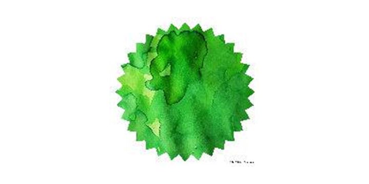 Robert Oster Signature® - Green Green 寶綠 Greens 50ml | 鋼筆墨水
