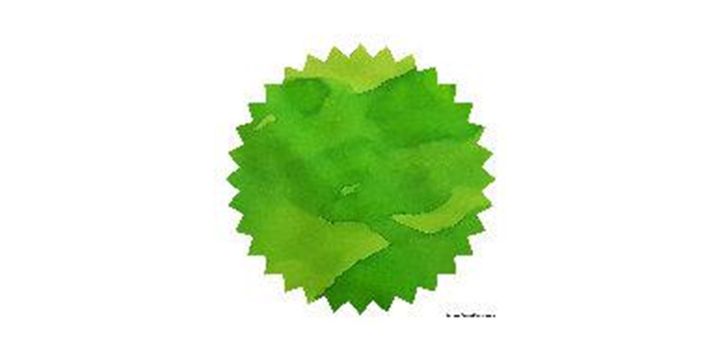 Robert Oster Signature® - Green Lime 青檸 Greens 50ml | 鋼筆墨水