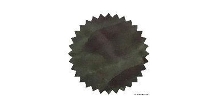 Robert Oster Signature® - Grün-Schwarz 黑曜石 Greens 50ml 