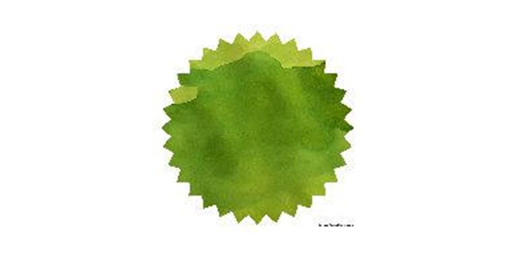 Robert Oster Signature® - Jade 翡翠 Greens 50ml | 鋼筆墨水 - 1