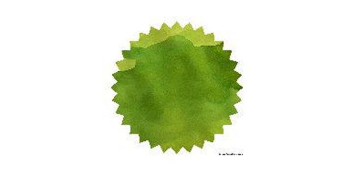 Robert Oster Signature® - Jade 翡翠 Greens 50ml | 鋼筆墨水