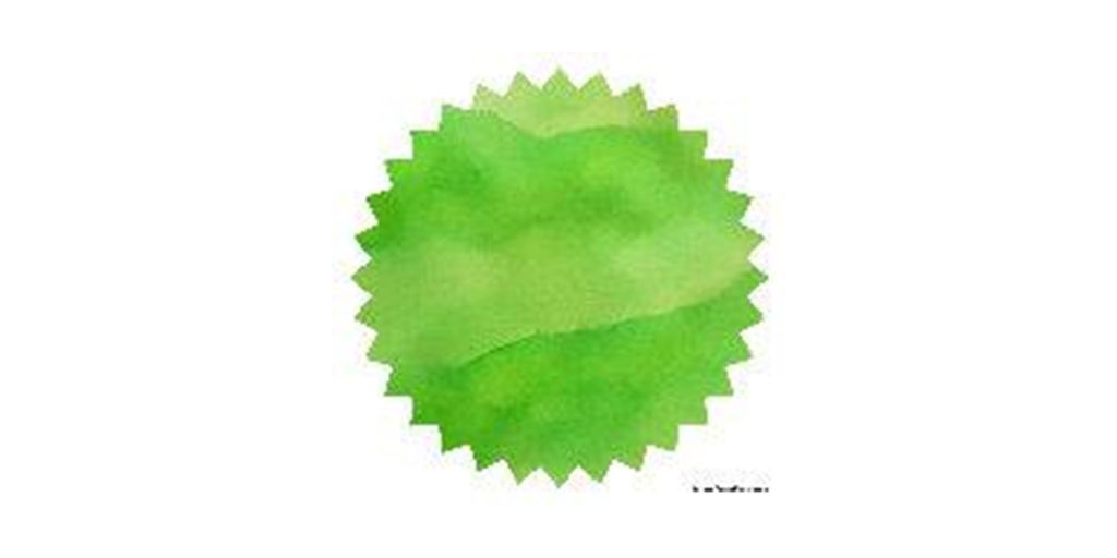 Robert Oster Signature® - Light Green 淺綠 Greens 50ml | 鋼筆墨水 - 1