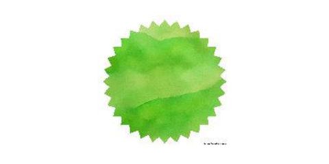 Robert Oster Signature® - Light Green 淺綠 Greens 50ml | 鋼筆墨水