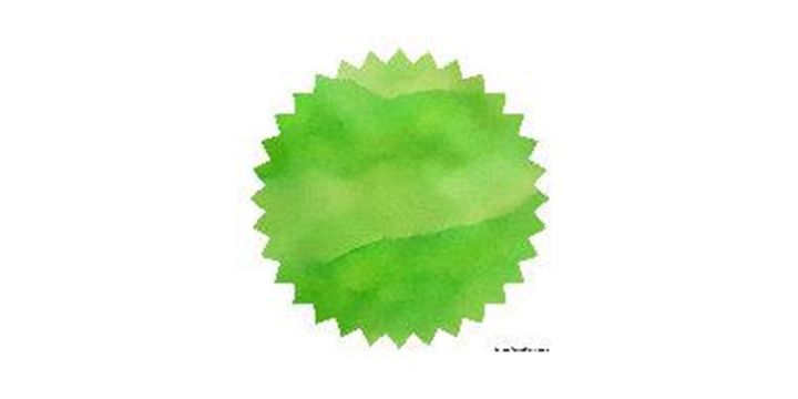 Robert Oster Signature® - Light Green 淺綠 Greens 50ml | 鋼筆墨水