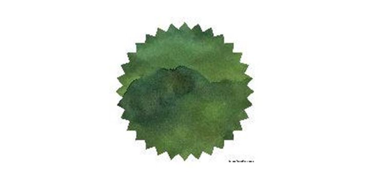Robert Oster Signature® - Moss 青苔 Greens 50ml | 鋼筆墨水