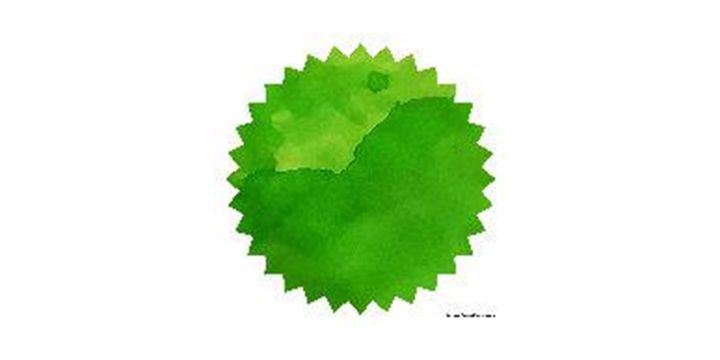 Robert Oster Signature® - Ryde Green 春麥 Greens 50ml | 鋼筆墨水