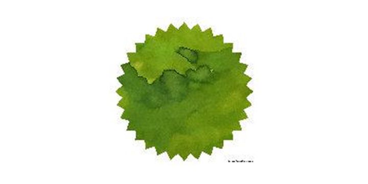 Robert Oster Signature® - Verde de Rio 翠荷 Greens 50ml | 鋼筆墨水