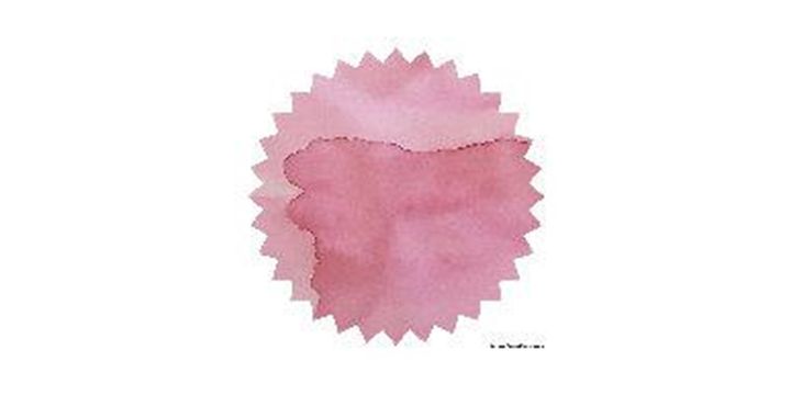 Robert Oster Signature® - Cherry Blossom 櫻花盛開 Pinks 50ml | 鋼筆墨水