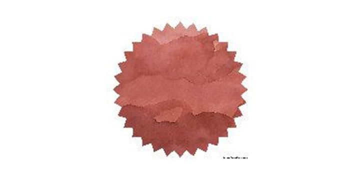 Robert Oster Signature® - Plumb Nut 西梅 Pinks 50ml | 鋼筆墨水