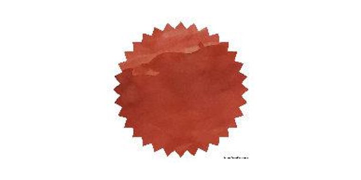 Robert Oster Signature® - Clay Red 磚紅 Reds 50ml | 鋼筆墨水