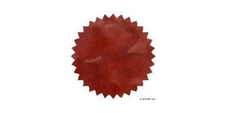 Robert Oster Signature® - Maroon 1789 栗1789 Reds 50ml | 鋼筆墨水