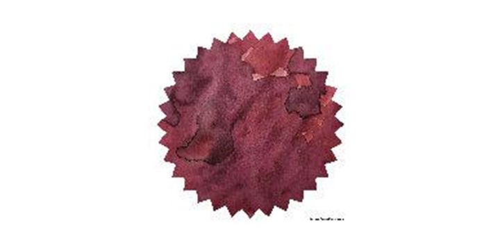 Robert Oster Signature® - Australian Syrah 穗樂仙 Reds 50ml | 鋼筆墨水