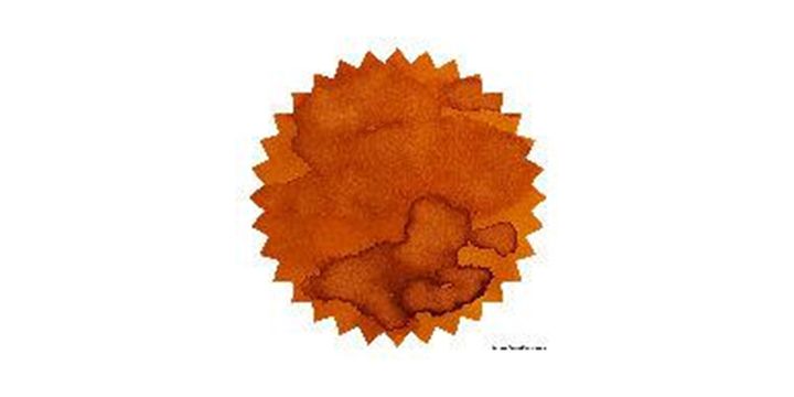 Robert Oster Signature® - Burned Orange 熱沙橙 Oranges 50ml 鋼筆墨水
