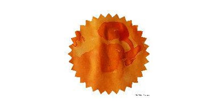 Robert Oster Signature® - Orange 橙 Oranges 50ml 鋼筆墨水