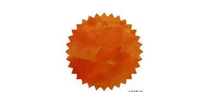 Robert Oster Signature® - Red Orange 橙紅 Oranges 50ml 鋼筆墨水