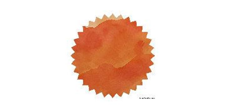 Robert Oster Signature® - Tangerine 蜜桔 Oranges 50ml 鋼筆墨水