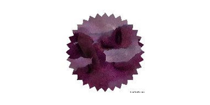 Robert Oster Signature® - Barossa Grape™ 巴羅薩葡萄 Purples 50ml | 鋼筆墨水