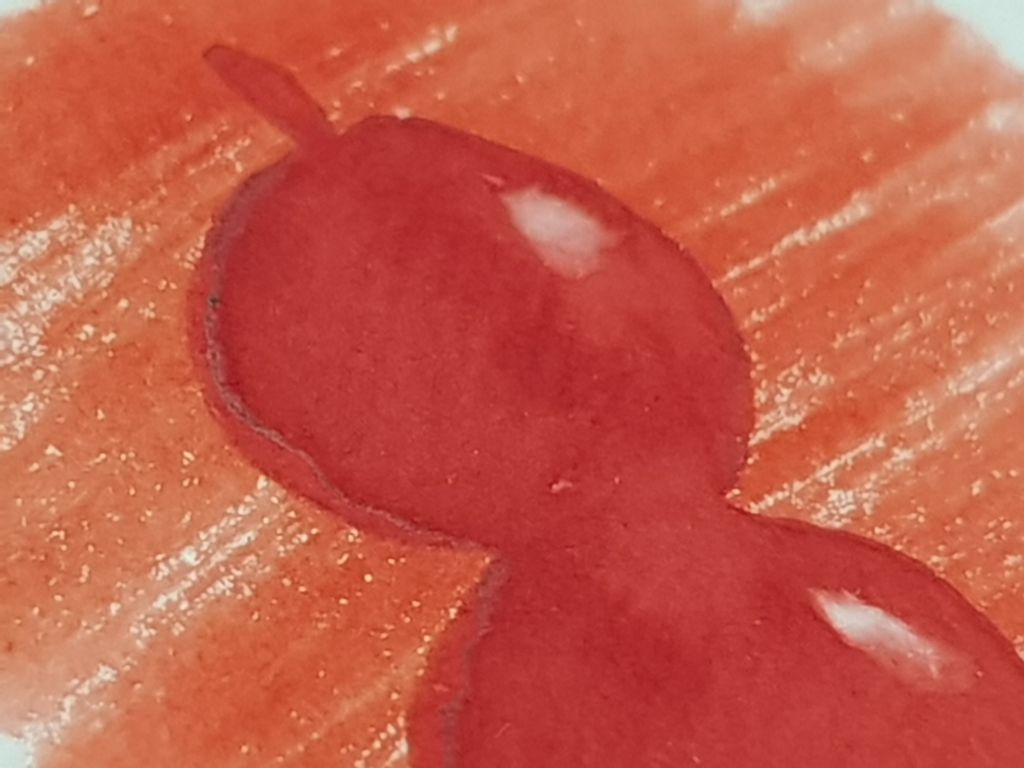 蘭泉墨研所 - 冰糖葫蘆 2020節慶限定 30ml 鋼筆墨水  - 2