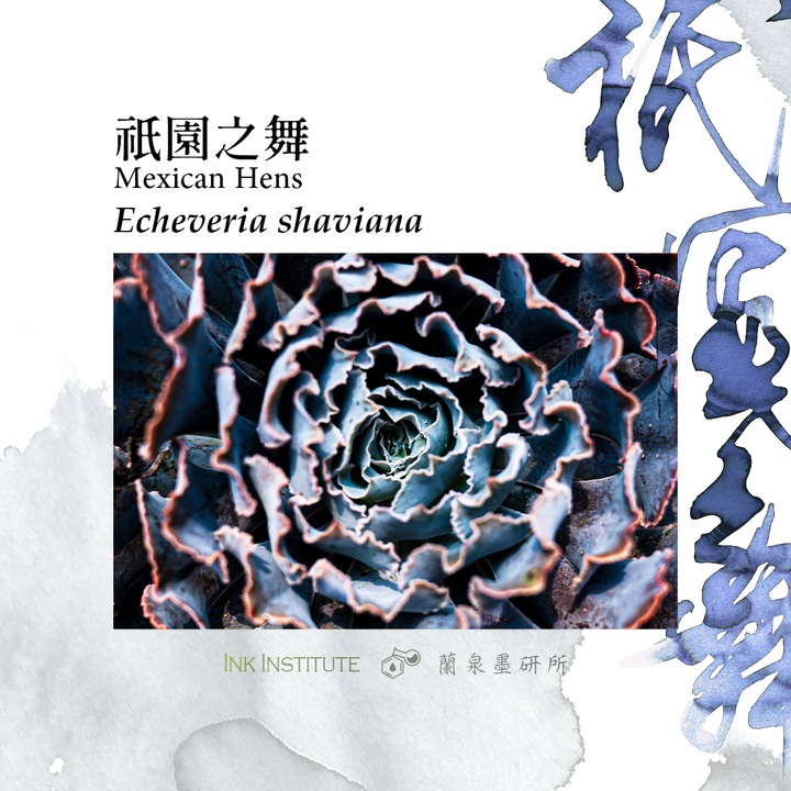 蘭泉墨研所 - 祇園之舞 30ml 鋼筆墨水  - 2