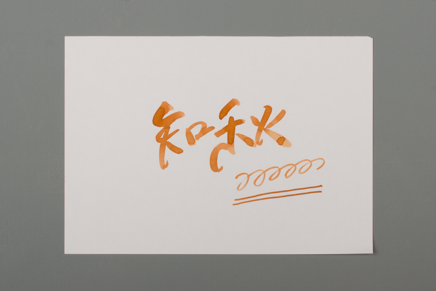 藍濃道具屋 - 知秋 - 2022 出去走走 30ml 鋼筆墨水  - 2