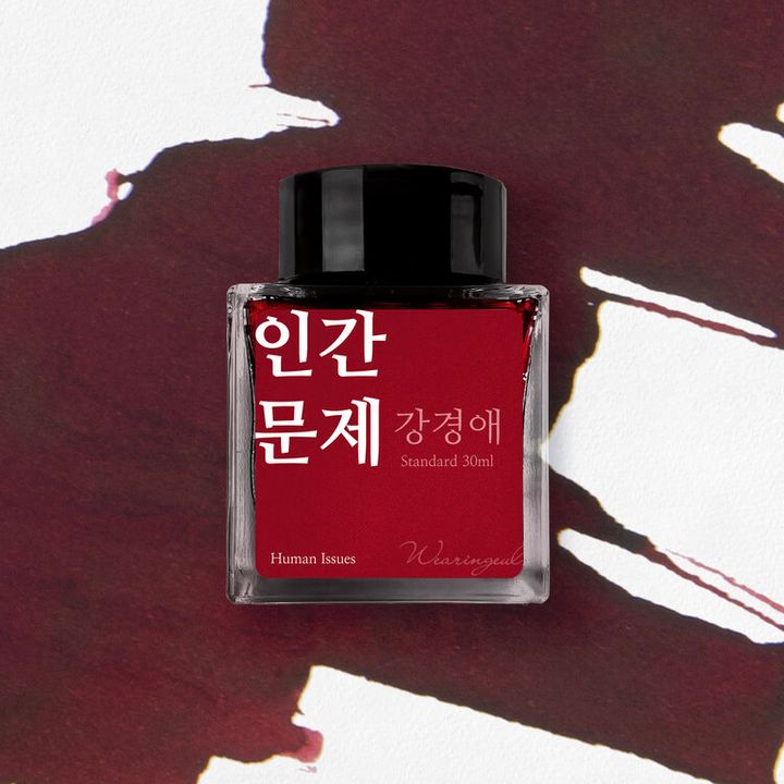 Wearingeul - 03 人類問題 韓國女作家系列 30ml 鋼筆墨水