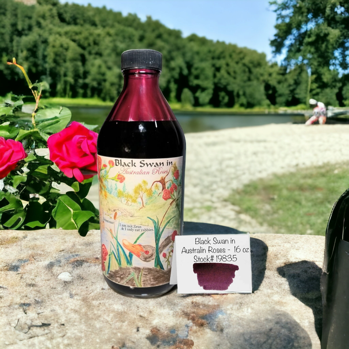鯰魚 - 19853 澳洲黑天鵝玫瑰 Black Swan Australian Rose 16oz