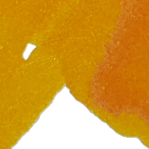 102 시트러스 옐로우 ﻿﻿Citrus Yellow 柑橘黃 3