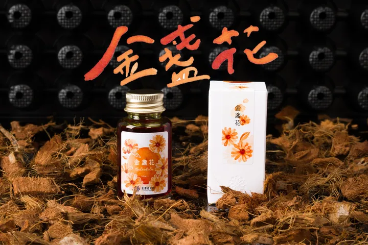 藍濃道具屋 - 金盞花 - 2024 媠甲有春 Vol. 2 鋼筆墨水