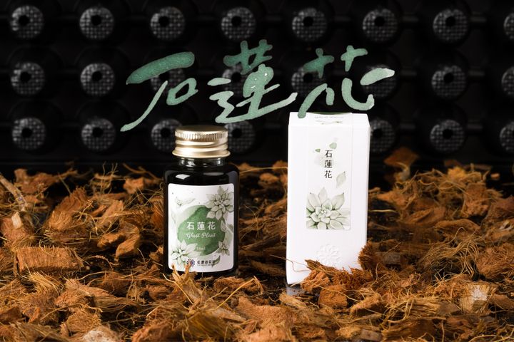 藍濃道具屋 - 石蓮花 - 2024 媠甲有春 Vol. 2 鋼筆墨水