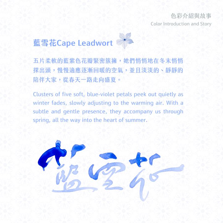 藍濃道具屋 - 藍雪花 Cape Leadwort - 2025 媠甲有春vol.3 鋼筆墨水 - 2