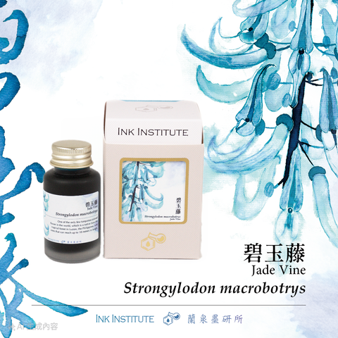 蘭泉墨研所- 碧玉藤30ml 鋼筆墨水– 賈絲筆咧J U S P I R I T