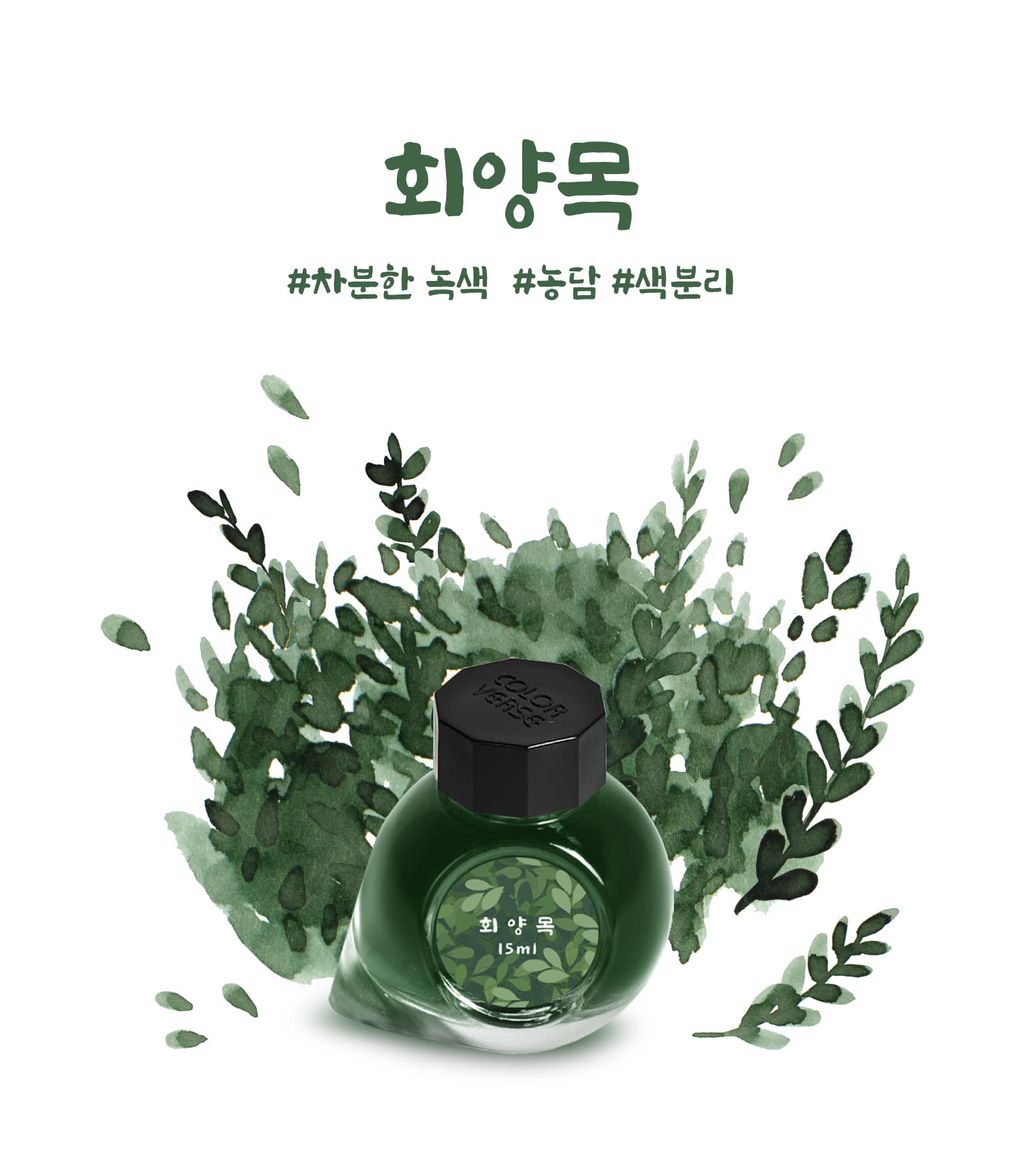 Colorverse No.64 Boxwood 黃楊木 Ink Illustration & Mood Photography