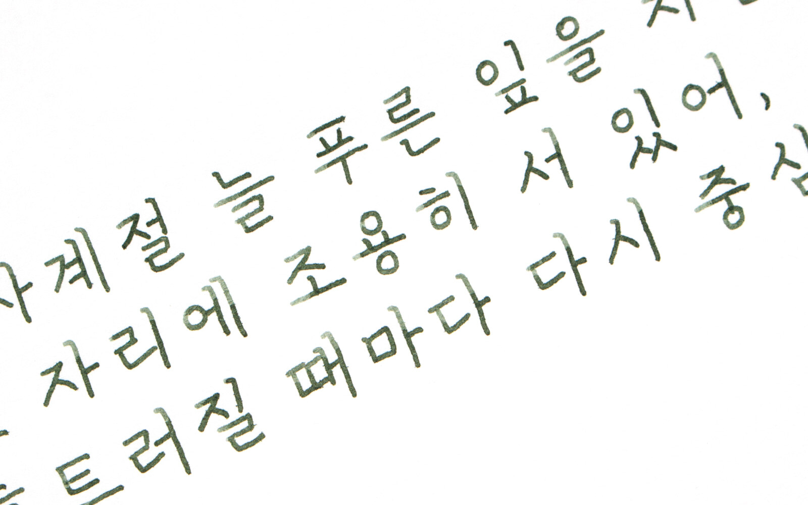 【黃楊木 15ml】Colorverse 鋼筆墨水 - 5