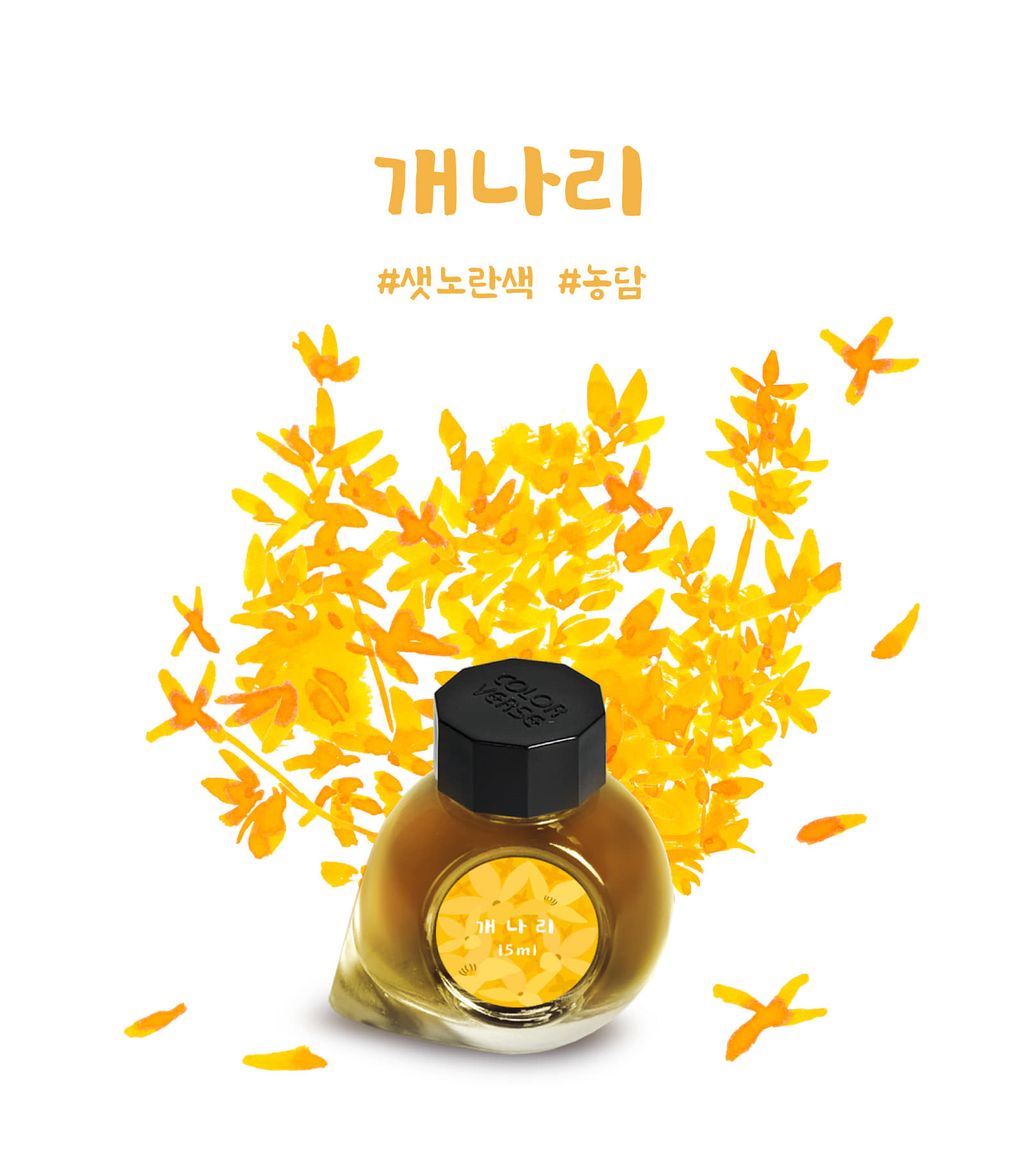 Colorverse No.65 Forsythia 連翹花 Ink Illustration & Mood Photography