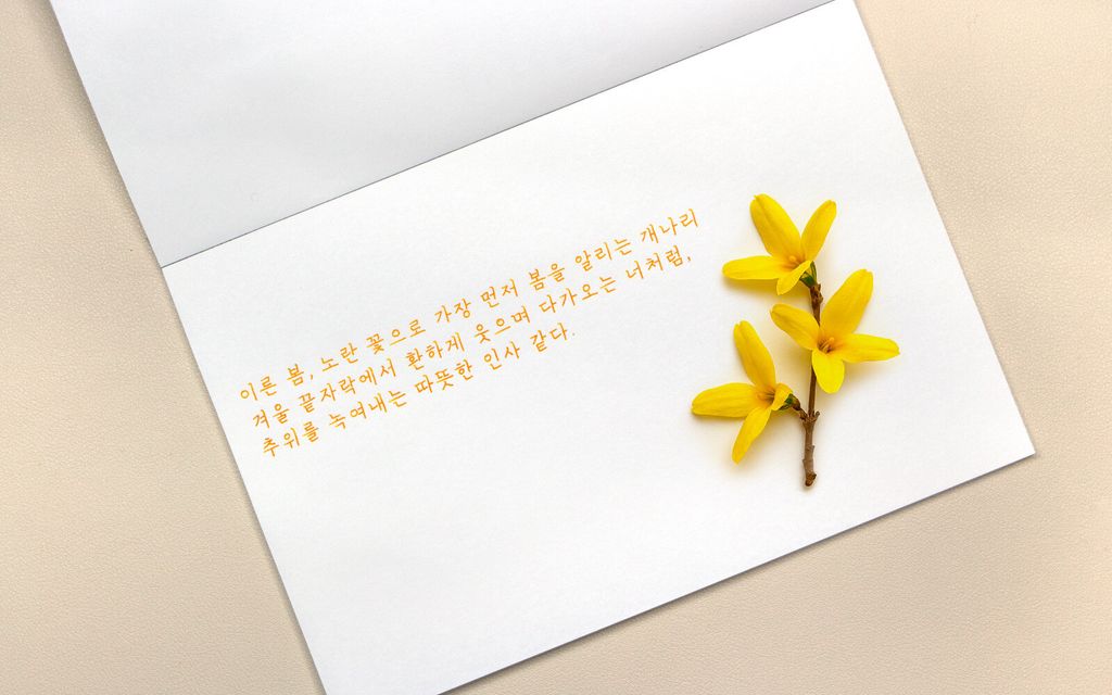 Colorverse No.65 Forsythia 連翹花 Ink Handwriting Sample & Calligraphy