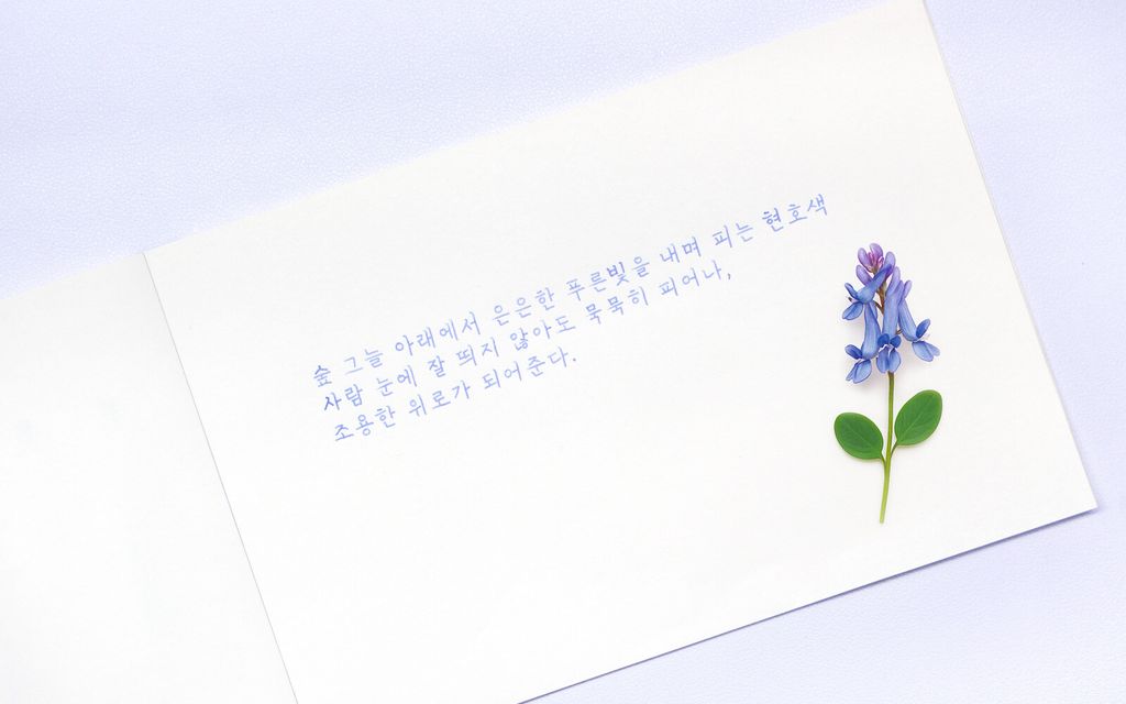 Colorverse No.66 Corydalis 紫堇 Ink Handwriting Sample & Calligraphy