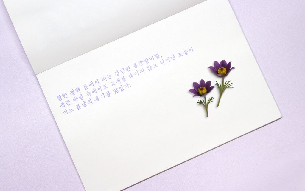 Colorverse No.67 Donggang Pasque Flower 東江白頭翁花 Ink Handwriting Sample