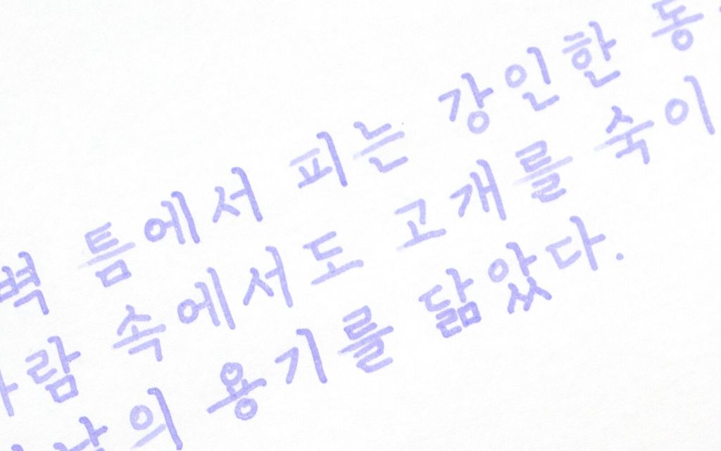 Colorverse No.67 Donggang Pasque Flower 東江白頭翁花 Ink Handwriting Sample