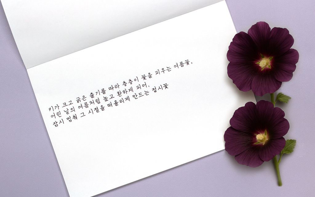 Colorverse No.68 Hollyhock 蜀葵 Ink Handwriting Sample & Calligraphy