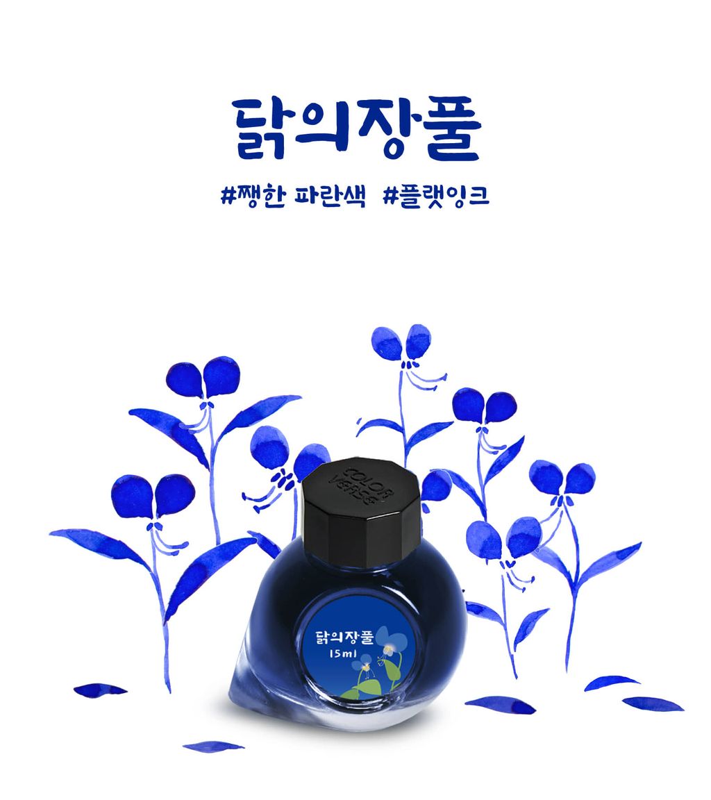 Colorverse No.70 Asiatic Dayflower 鴨跖草 Ink Illustration & Mood Photography