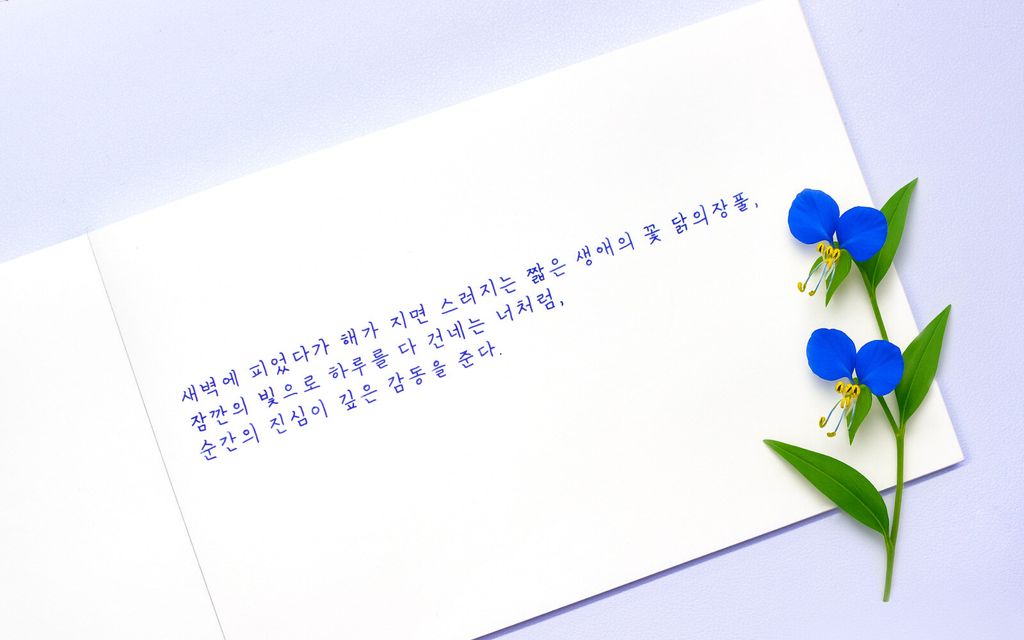 Colorverse No.70 Asiatic Dayflower 鴨跖草 Ink Handwriting Sample & Calligraphy