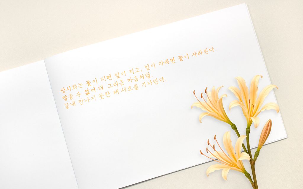 Colorverse No.71 Jeju Surprise Lily 濟州相思花 Ink Handwriting Sample & Calligraphy